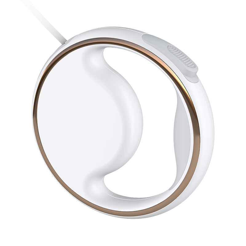 Automatic Retractable LED Dog Leash