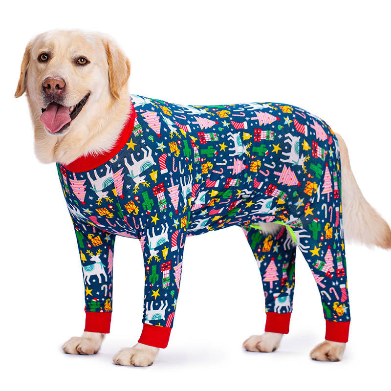 Dog wearing colorful pajamas with a pattern on a white background