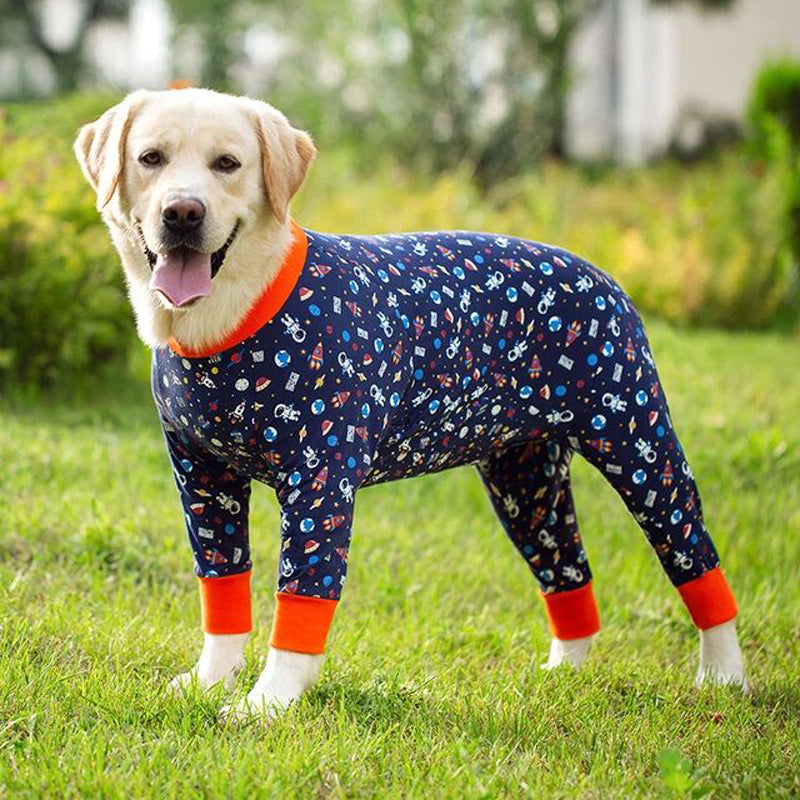 Golden Labrador Suit
