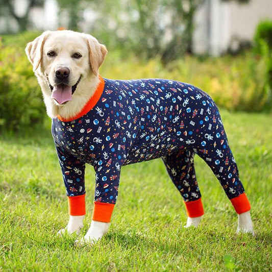 Golden Labrador Suit