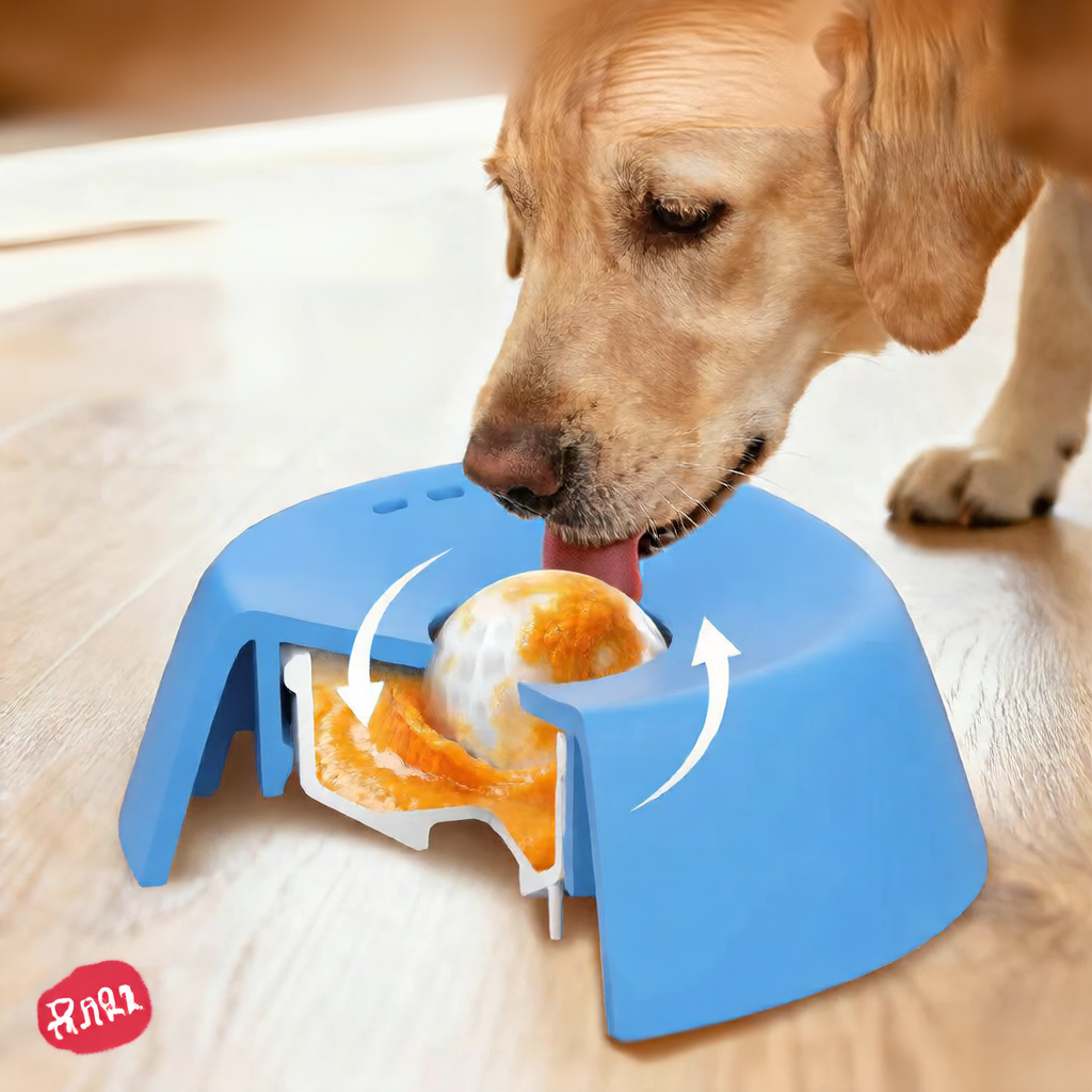Dog interacting with a blue pet toy on a wooden floor