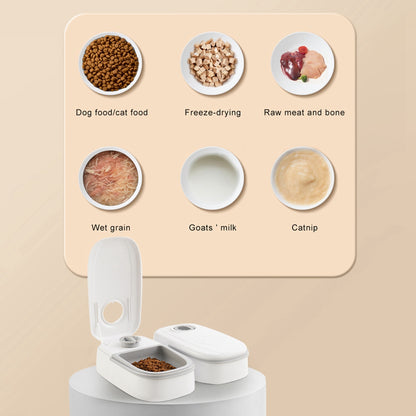 Smart Pet Feeder