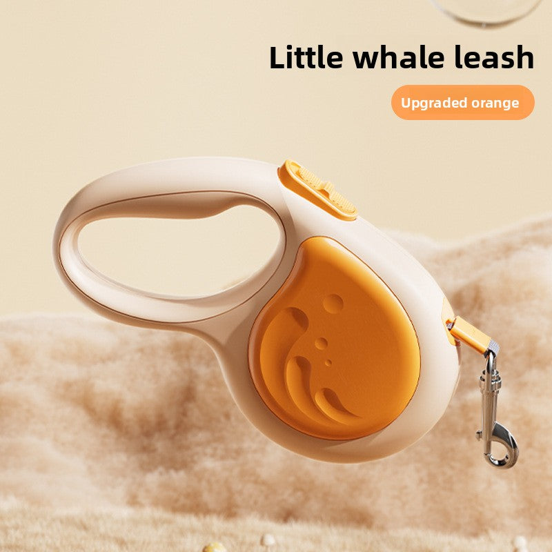 Orange and white leash with whale design on a beige background