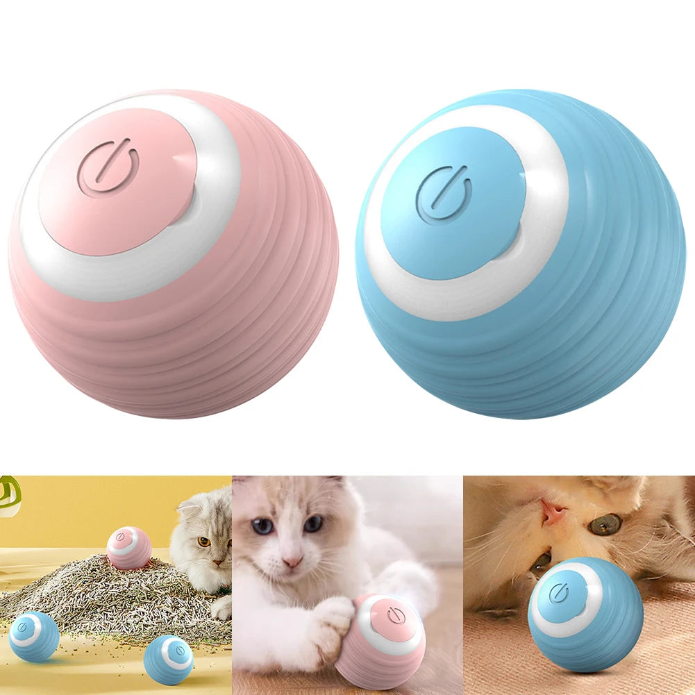 Two colorful electronic pet toys, one pink and one blue, with images of cats playing with them below.
