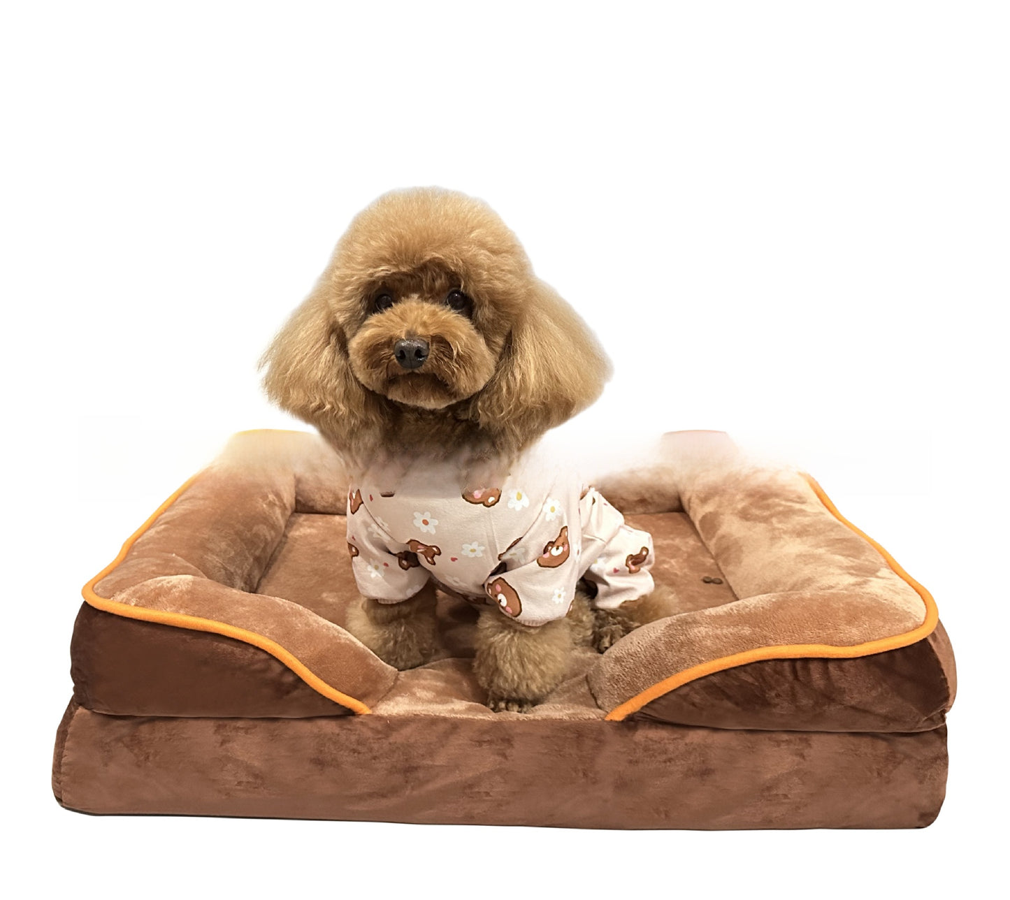 Dog sitting on a brown pet bed with a white background