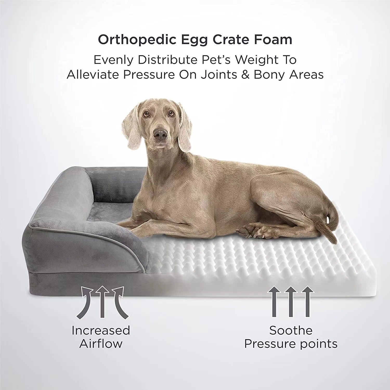 Dog lying on an orthopedic egg crate foam bed with text explaining its benefits.