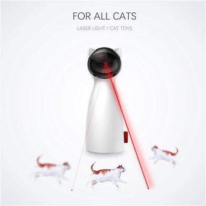 Cat toy with laser light on a white background