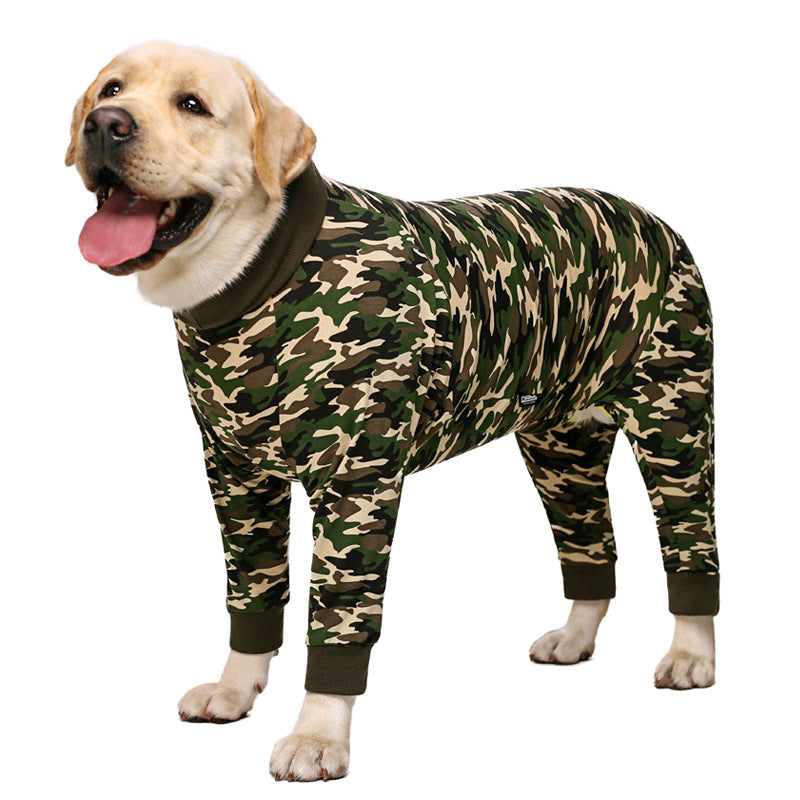 Golden Labrador Suit