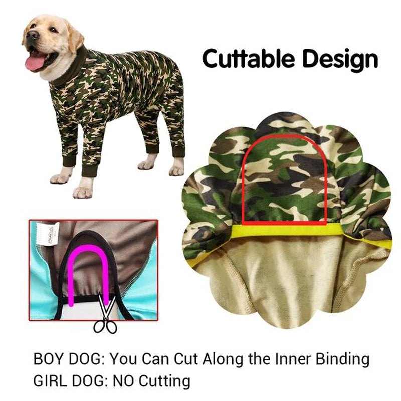Golden Labrador Suit